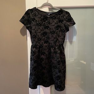 One Clothing Black Velvet Dress